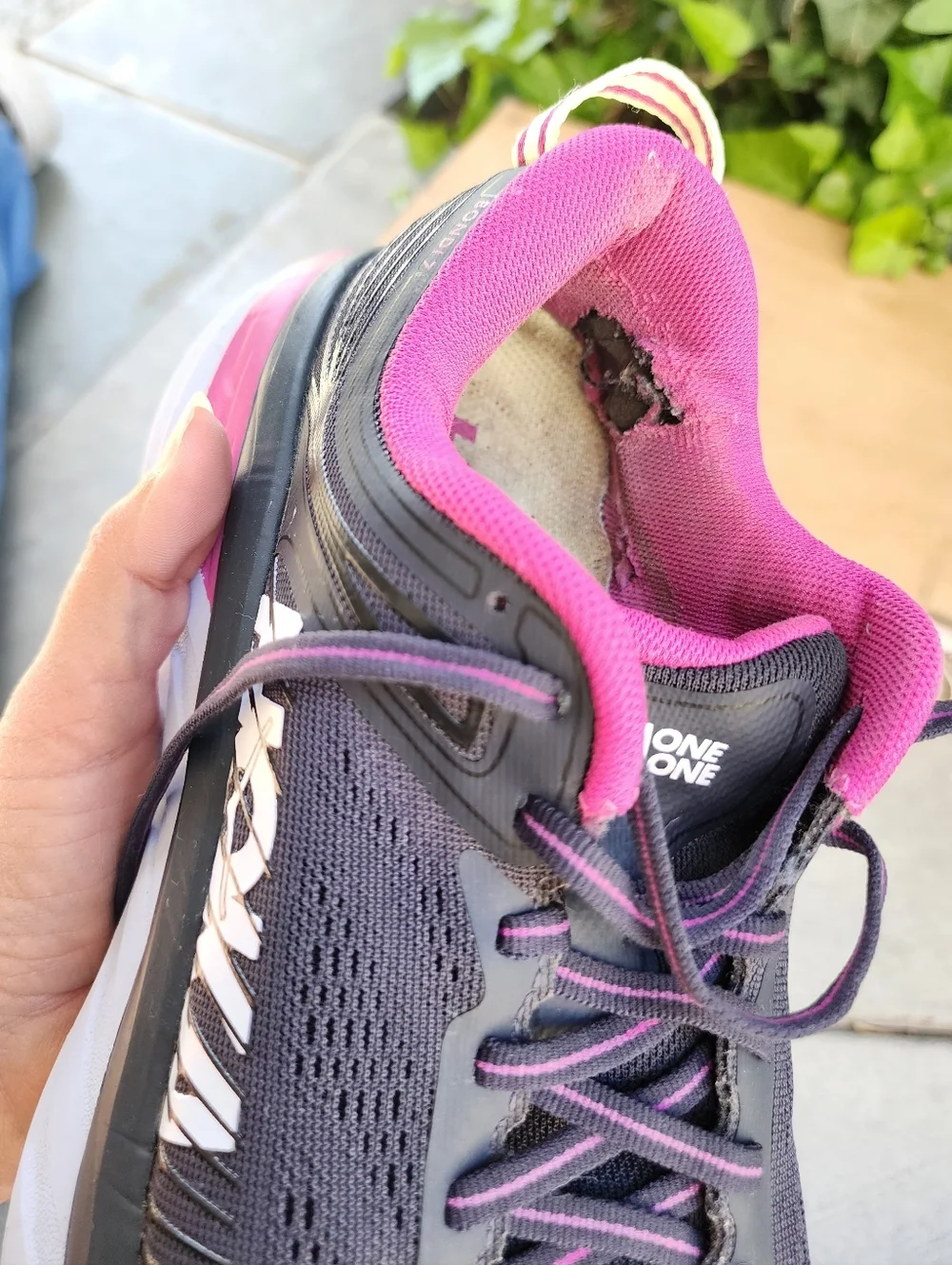 Hoka ran these